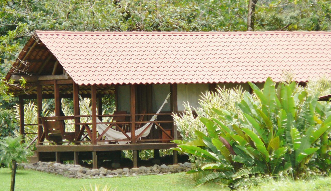 La Anita Rain Forest Colonia Dos Ríos Extérieur photo
