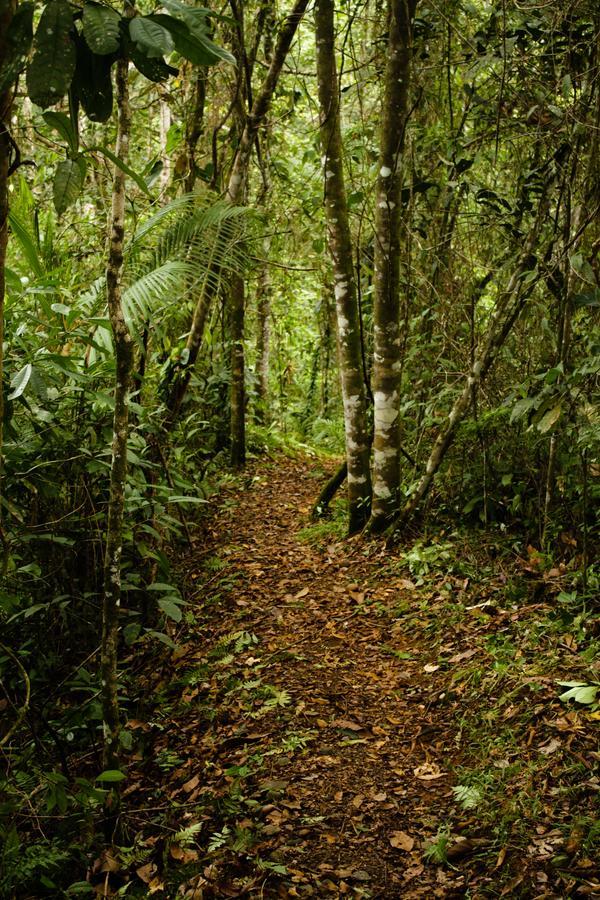 La Anita Rain Forest Colonia Dos Ríos Extérieur photo