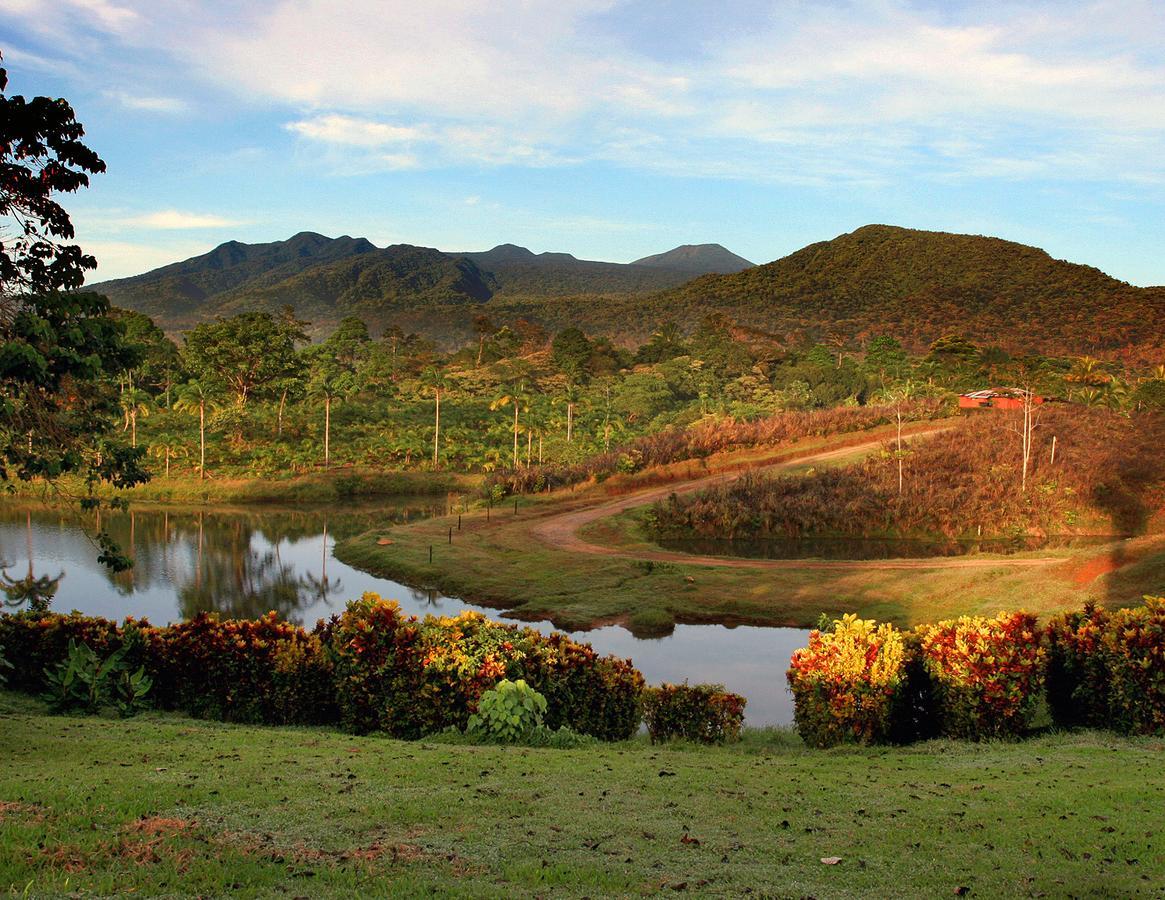 La Anita Rain Forest Colonia Dos Ríos Extérieur photo