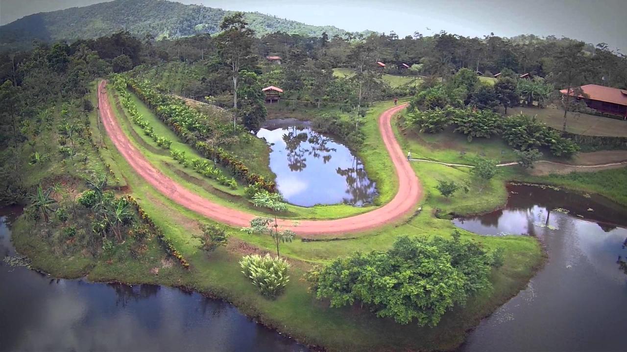 La Anita Rain Forest Colonia Dos Ríos Extérieur photo