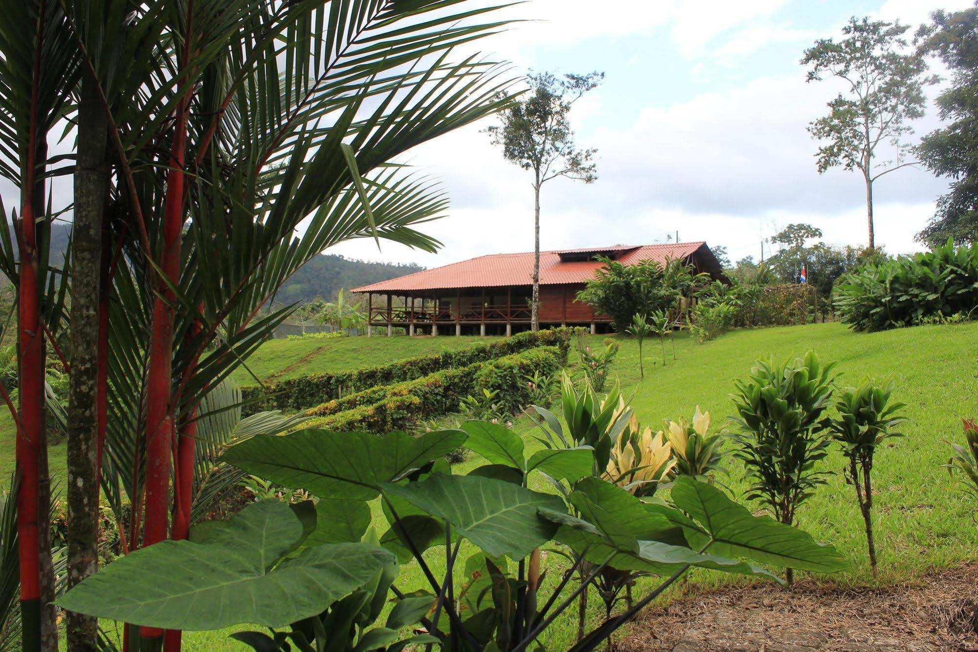 La Anita Rain Forest Colonia Dos Ríos Extérieur photo